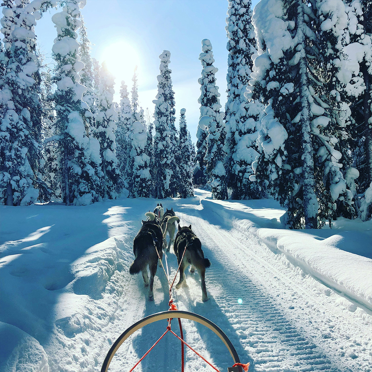 Lapland